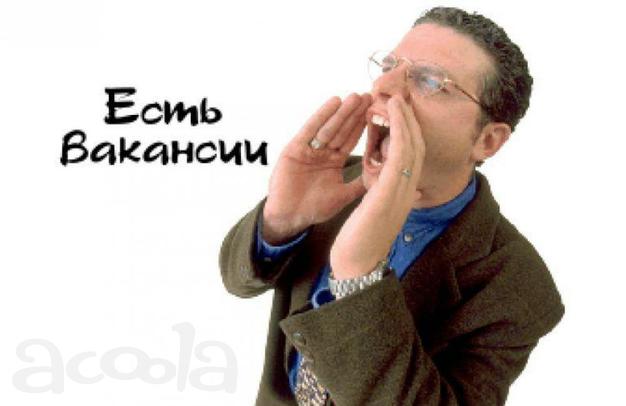 Координатор технического отдела